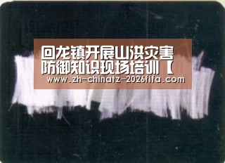 回龙镇开展山洪灾害防御知识现场培训【世界杯买球网站】(图3) 2026世界杯