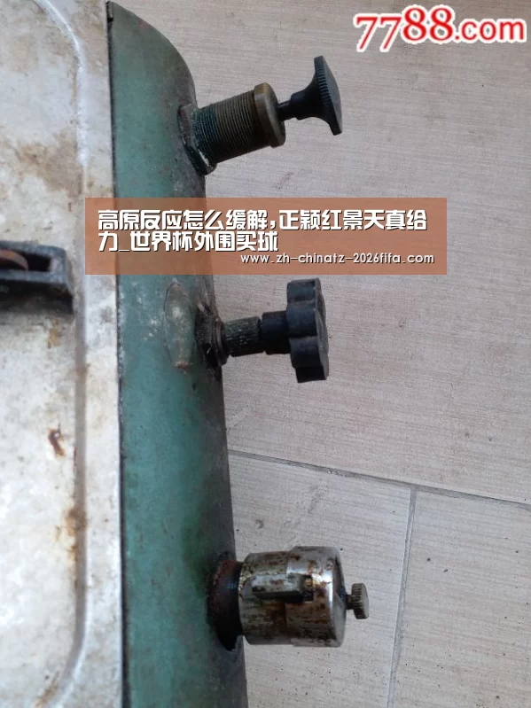 高原反应怎么缓解,正颖红景天真给力_世界杯外围买球(图3) 世界杯投注