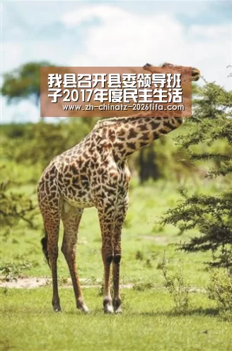 我县召开县委领导班子2017年度民主生活会:世界杯买球网站(图3) 世界杯外围买球