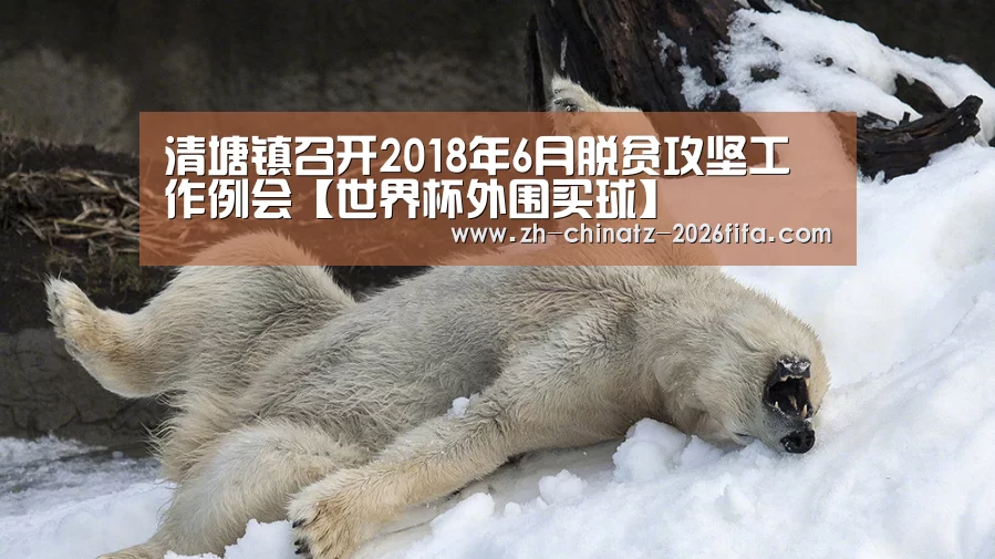 清塘镇召开2018年6月脱贫攻坚工作例会【世界杯外围买球】(图1) 世界杯外围买球