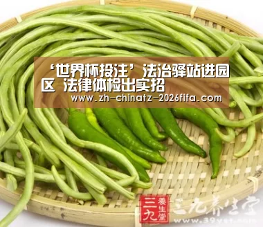 ‘世界杯投注’法治驿站进园区 法律体检出实招(图2) 世界杯外围买球